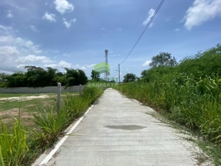 ที่ดินสำหรับทำโฮมสเตย์บางเสร่ 