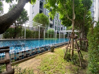 คอนโด The Matt สุขุมวิท 101/1 ห้อง 1 ห้องนอน ชั้น 4 ใกล้ BTS ปุณณวิถี