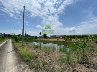 ที่ดินงิ้วรายติดถนนคอนกรีต