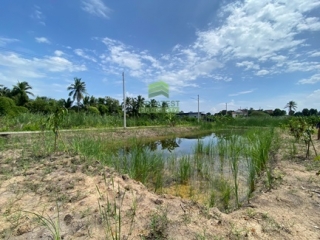 ที่ดินงิ้วรายติดถนนคอนกรีต